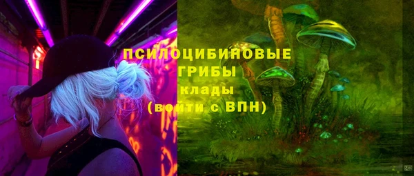 прущие крисы Арсеньев